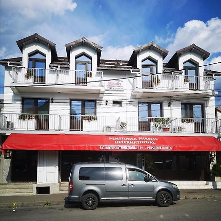 Hotel Pensiunea Mikelis International Curtea de Argeş Esterno foto