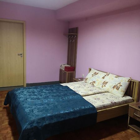 Hotel Pensiunea Mikelis International Curtea de Argeş Esterno foto