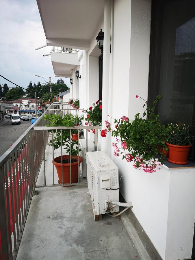 Hotel Pensiunea Mikelis International Curtea de Argeş Esterno foto